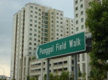 Punggol Field Walk #88932